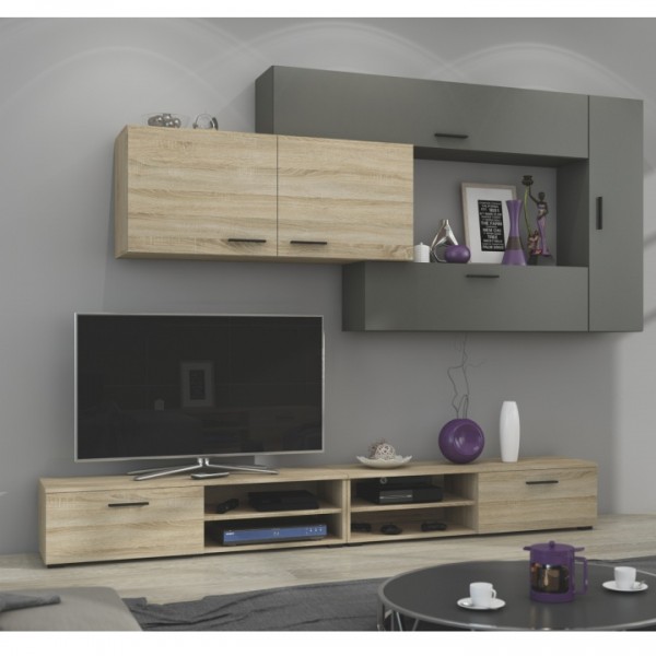 Obývacia stena, dub sonoma/grafit, DUBLIN